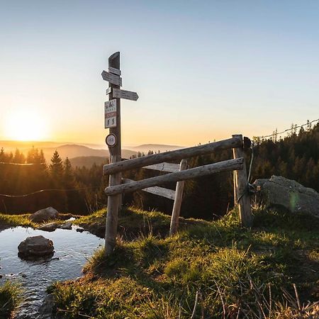 Waldhotel Fehrenbach Hinterzarten Buitenkant foto