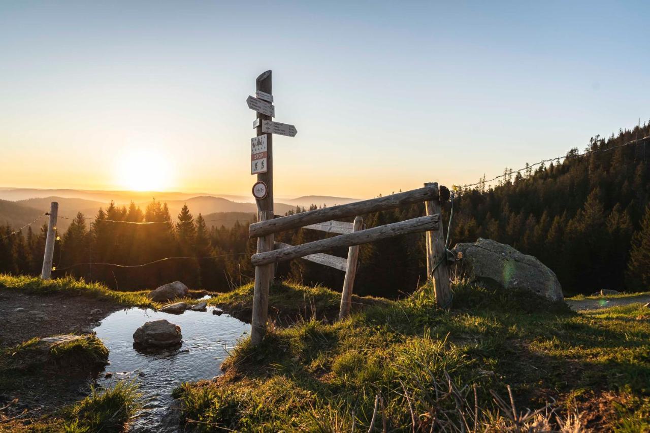 Waldhotel Fehrenbach Hinterzarten Buitenkant foto