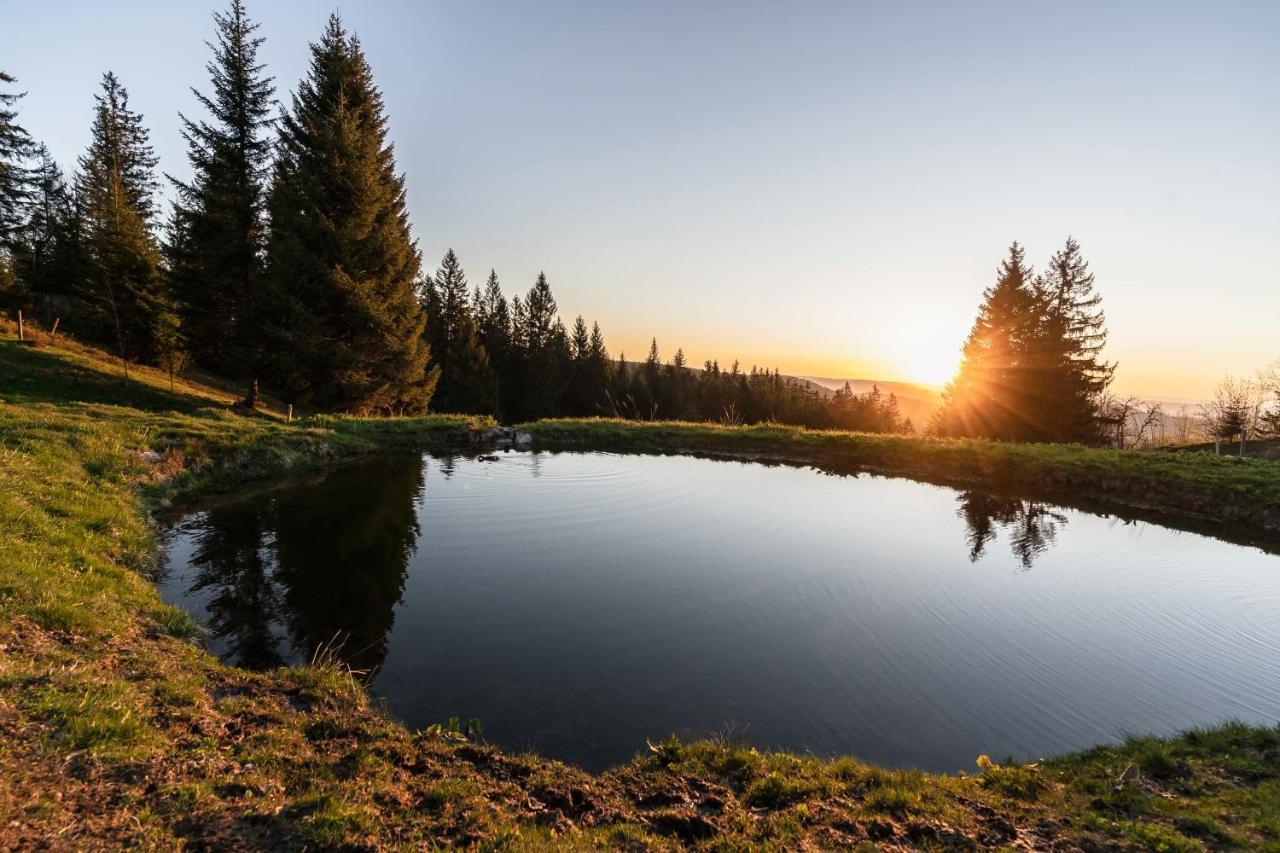 Waldhotel Fehrenbach Hinterzarten Buitenkant foto